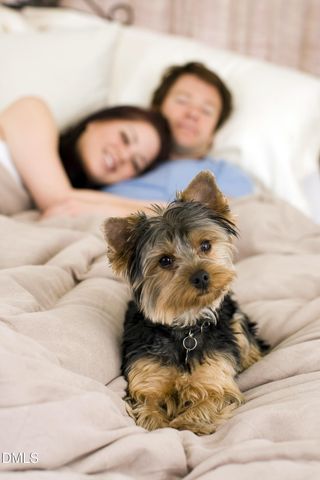 605 Hedrick Ridge Road 303, Cary, NC 27519