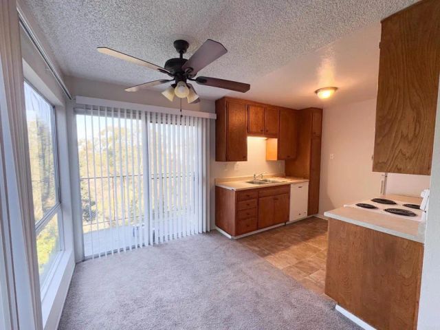 2520 collier Avenue, San Diego, CA 92116