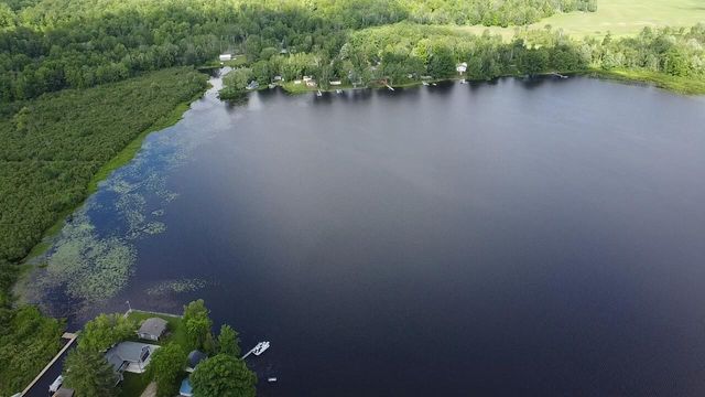 14110 Hicks Lake Drive, Evart, MI 49631