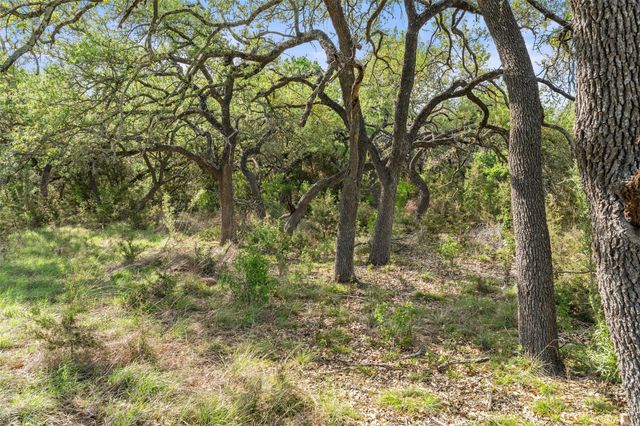 TBD Hwy 290, Johnson City, TX 78636