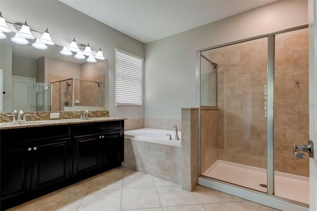 11024 LITTLE BLUE HERON DRIVE, Riverview, FL 33579