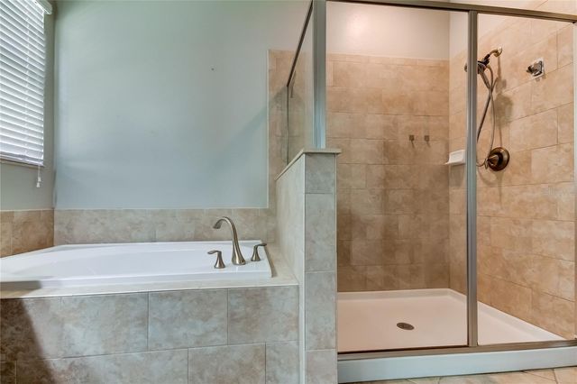 11024 LITTLE BLUE HERON DRIVE, Riverview, FL 33579