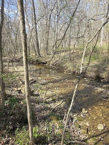 11274 Allen Drive, Lyles, TN 37098