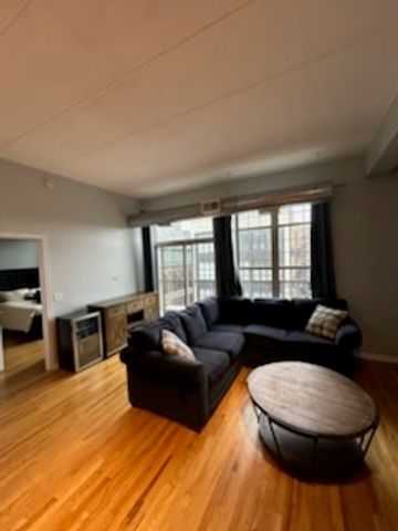 1919 S Michigan Avenue 400, Chicago, IL 60616