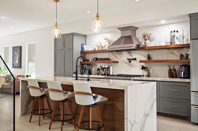 1008 Willow ST, Austin, TX 78702