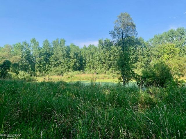 0 Hagerman Road, Addison Twp, MI 48367