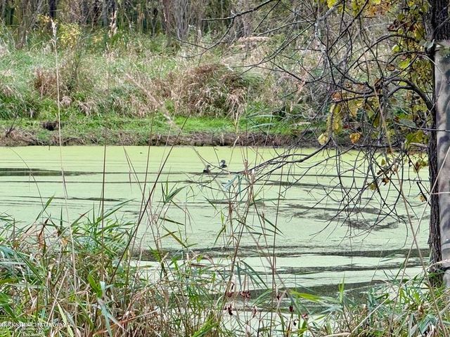 0 Hagerman Road, Addison Twp, MI 48367