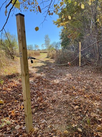 0 Hagerman Road, Addison Twp, MI 48367