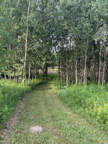 0 Hagerman Road, Addison Twp, MI 48367