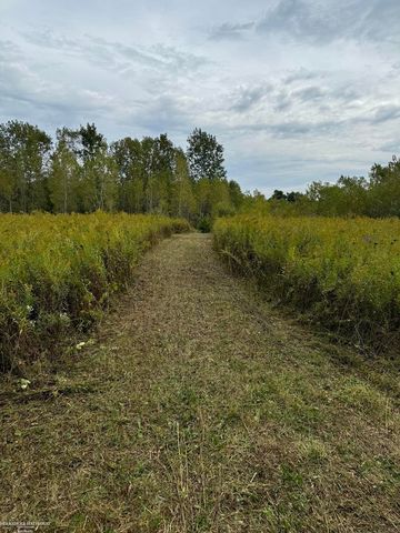 0 Hagerman Road, Addison Twp, MI 48367