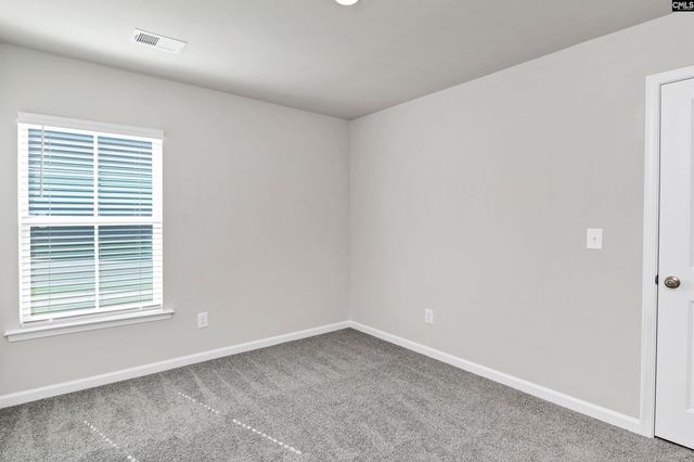 119 Purple Heron Way, Hopkins, SC 29061