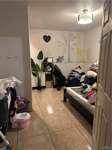 1513 N View Lane, Mission, TX 78573