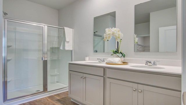 526 Tulip Poplar Drive, Moncks Corner, SC 29461