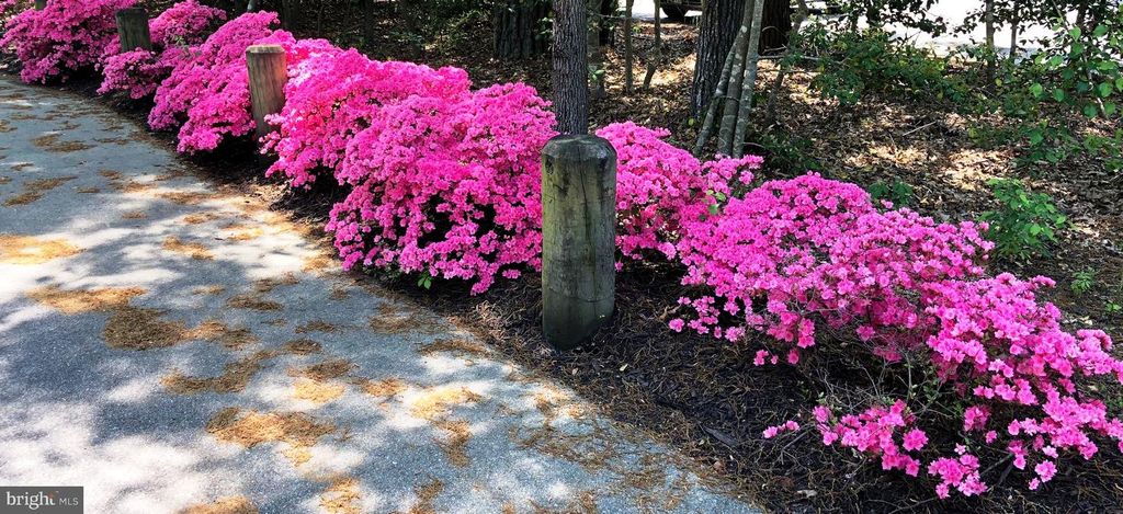 Image 50 of property listing at 1331 SCHOONER LOOP #1331, Solomons, MD 20688