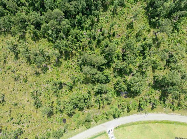Lot 2-G Lost Oak Ln, Livingston, LA 70754