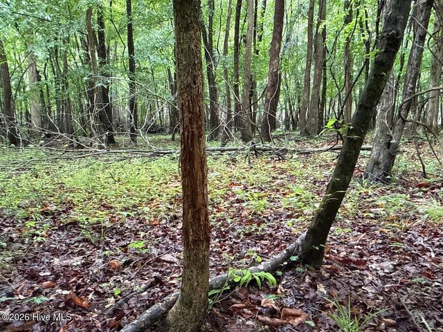 0 Kirkman Road, Robersonville, NC 27871