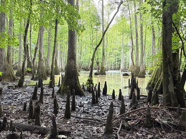 0 Kirkman Road, Robersonville, NC 27871