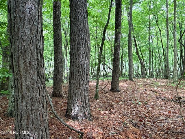 0 Kirkman Road, Robersonville, NC 27871
