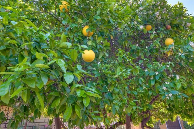 640 W 29th, San Bernardino, CA 92405