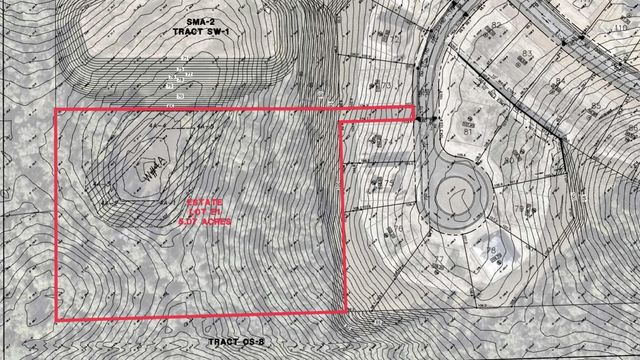 5129 RISING RIDGE DRIVE, Mount Dora, FL 32757