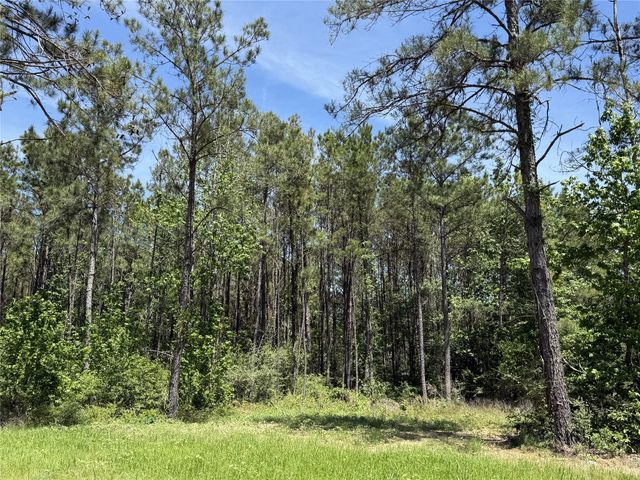 165 Queen Anne Way, Huntsville, TX 77340