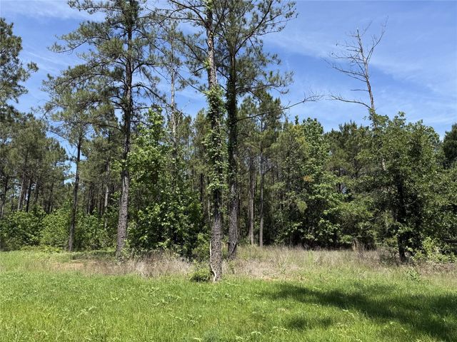 165 Queen Anne Way, Huntsville, TX 77340