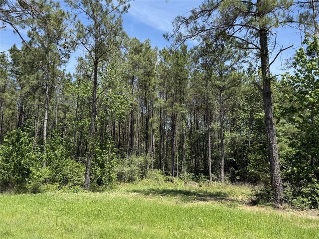 165 Queen Anne Way, Huntsville, TX 77340