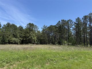 165 Queen Anne Way, Huntsville, TX 77340