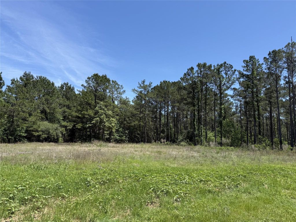 165 Queen Anne Way, Huntsville, TX 77340