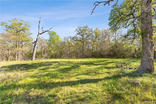 15409 Piney Oaks Lane, Iola, TX 77861