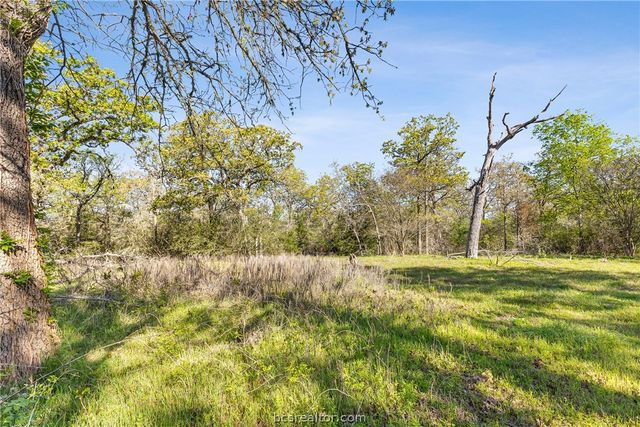 15409 Piney Oaks Lane, Iola, TX 77861