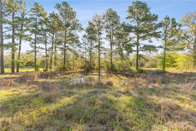 15409 Piney Oaks Lane, Iola, TX 77861
