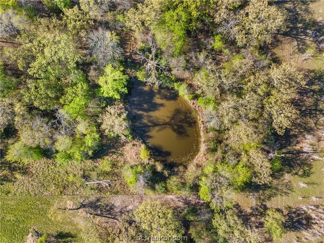15409 Piney Oaks Lane, Iola, TX 77861