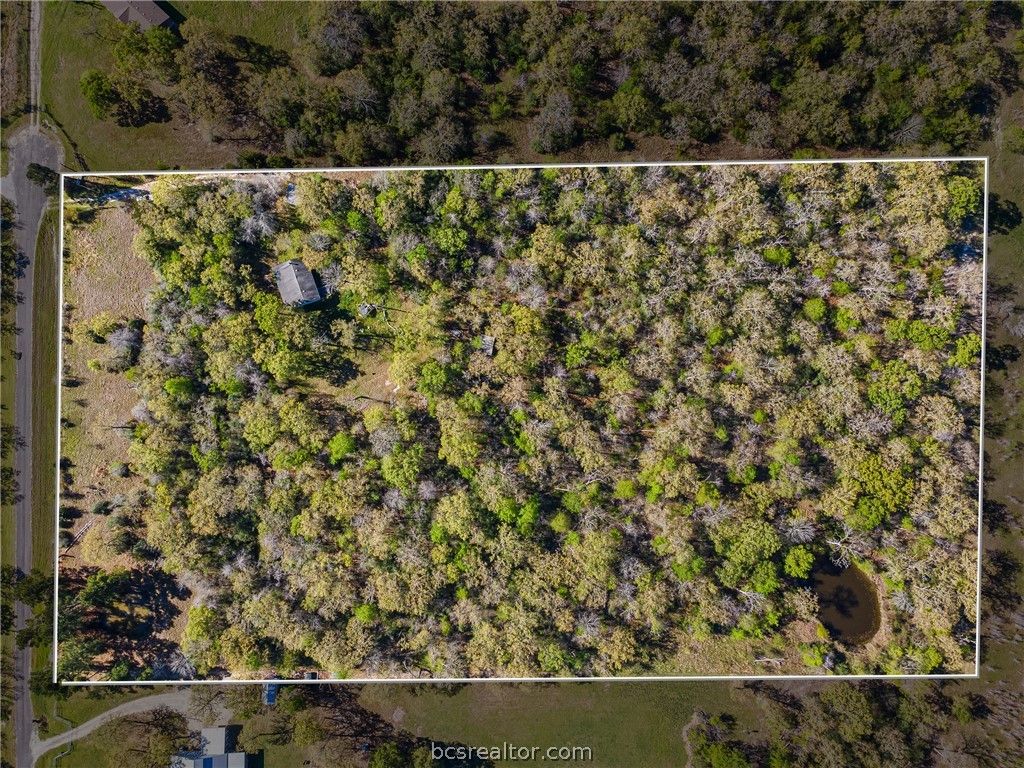 15409 Piney Oaks Lane, Iola, TX 77861 — photo 4