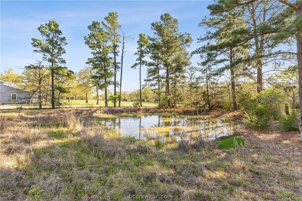15409 Piney Oaks Lane, Iola, TX 77861 — photo 5