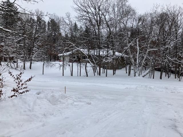 31041 Spring Loop, Pequot Lakes, MN 56472
