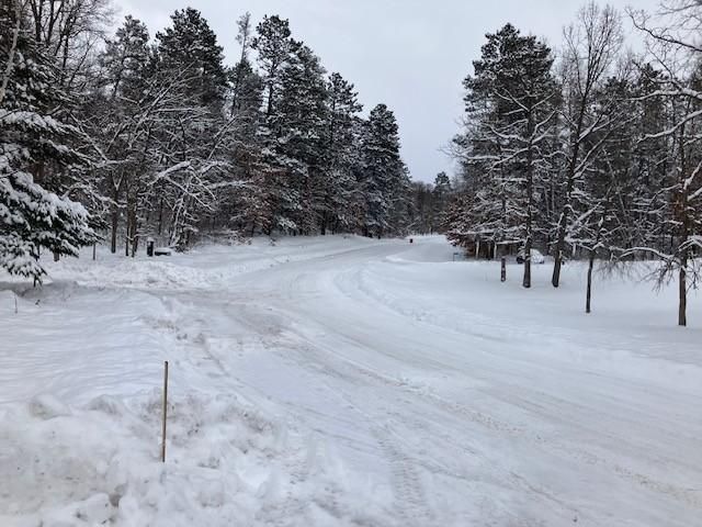 31041 Spring Loop, Pequot Lakes, MN 56472