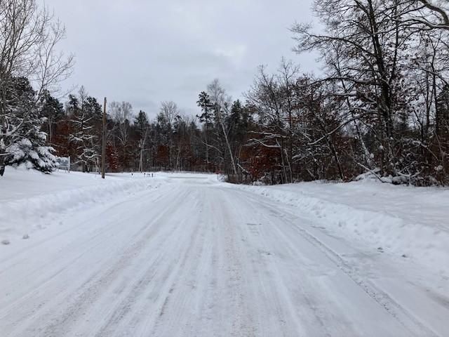 31041 Spring Loop, Pequot Lakes, MN 56472