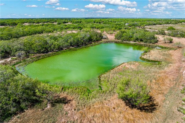 000 FM 771, Riviera, TX 78379