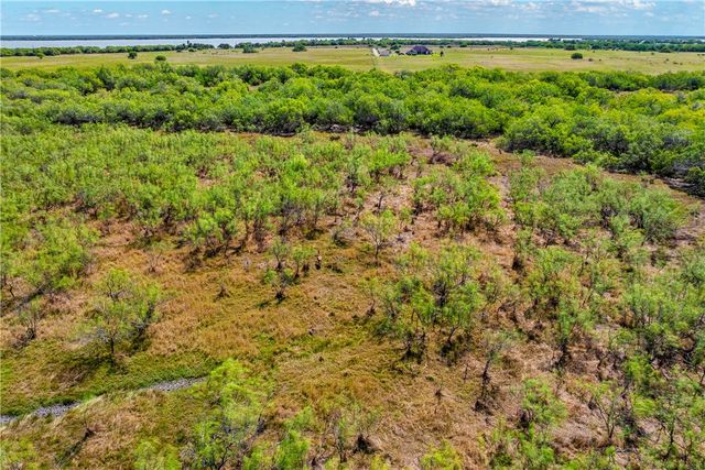 000 FM 771, Riviera, TX 78379