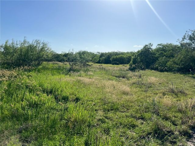 000 FM 771, Riviera, TX 78379