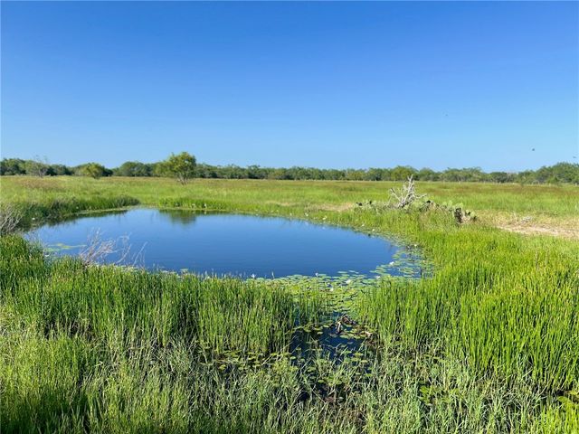 000 FM 771, Riviera, TX 78379