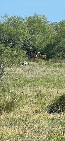 000 FM 771, Riviera, TX 78379