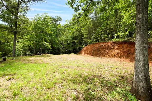 62 Green Cove Spur, Murphy, NC 28906