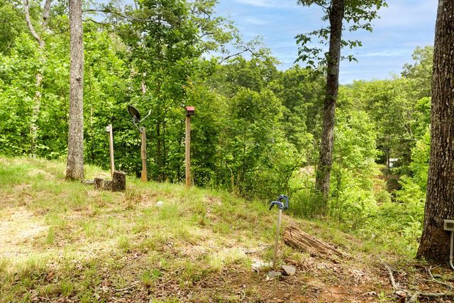 62 Green Cove Spur, Murphy, NC 28906