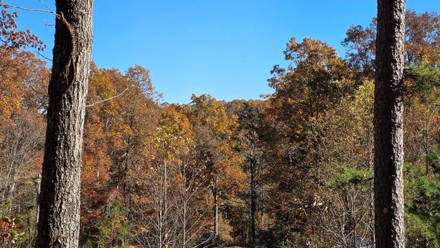 62 Green Cove Spur, Murphy, NC 28906