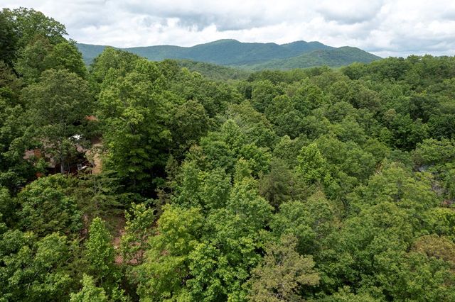 62 Green Cove Spur, Murphy, NC 28906