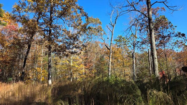 62 Green Cove Spur, Murphy, NC 28906