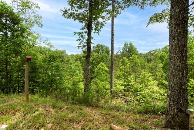 62 Green Cove Spur, Murphy, NC 28906