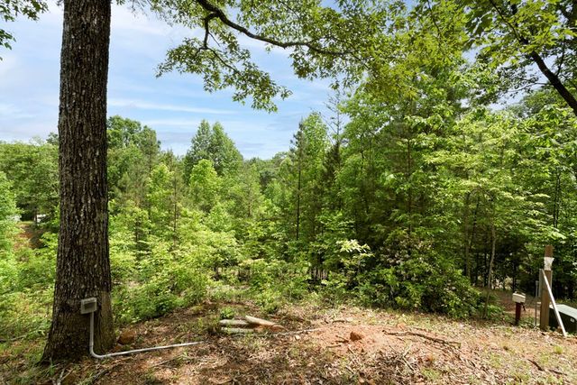 62 Green Cove Spur, Murphy, NC 28906